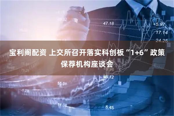 宝利阁配资 上交所召开落实科创板“1+6”政策保荐机构座谈会