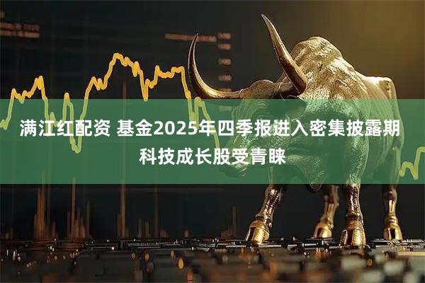 满江红配资 基金2025年四季报进入密集披露期 科技成长股受青睐