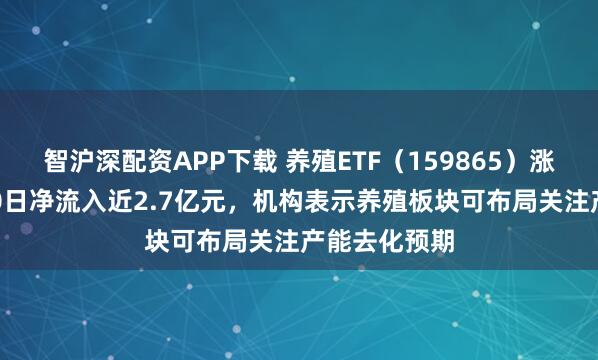 智沪深配资APP下载 养殖ETF（159865）涨超1%，近10日净流入近2.7亿元，机构表示养殖板块可布局关注产能去化预期