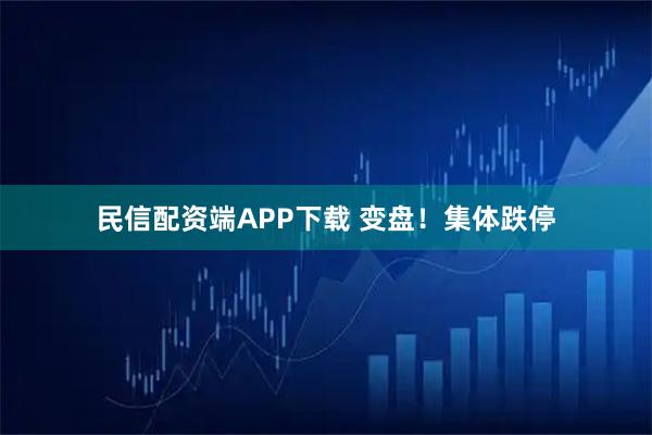 民信配资端APP下载 变盘！集体跌停