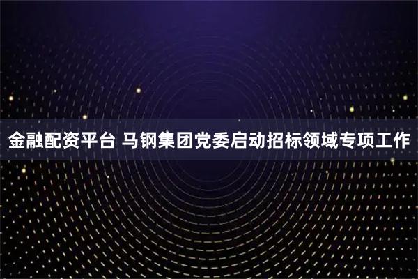 金融配资平台 马钢集团党委启动招标领域专项工作