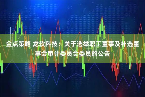 金点策略 龙软科技：关于选举职工董事及补选董事会审计委员会委员的公告